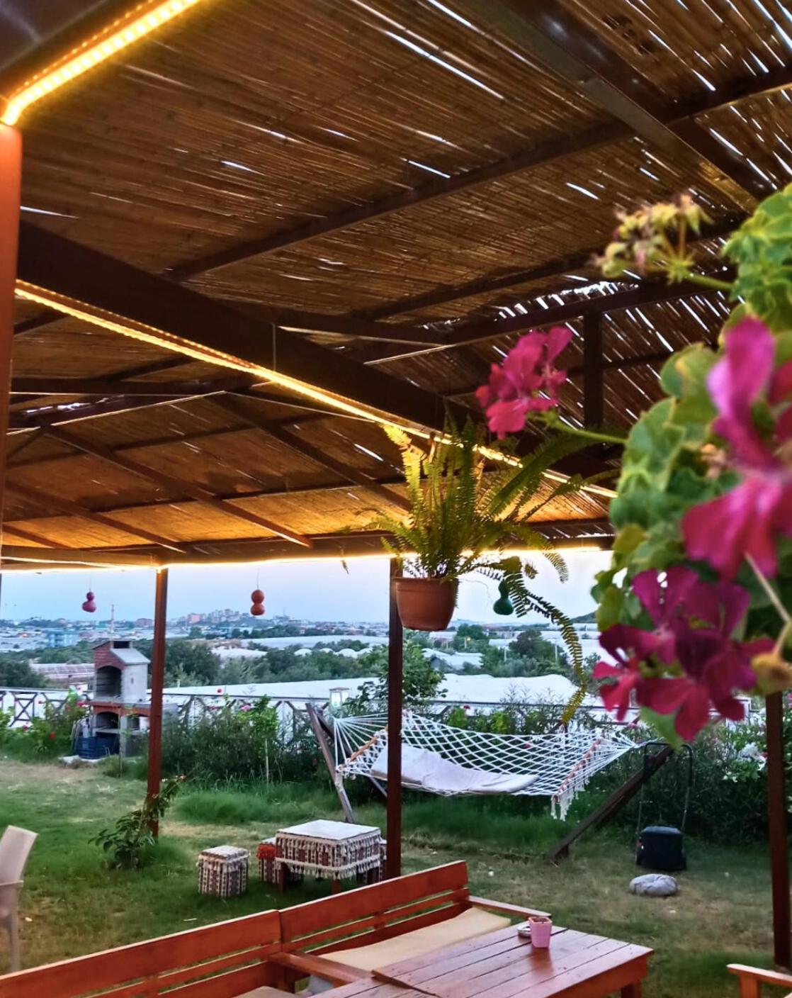 Bu Bungalow Hotel Demre Exterior photo