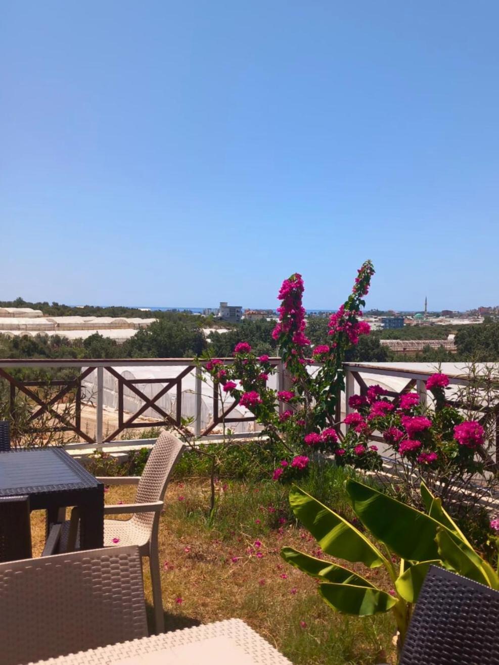 Bu Bungalow Hotel Demre Exterior photo